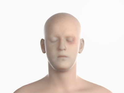 [wip_01] porcelain 3d face head model porcelain render rendering sculpt skin skull zbrush