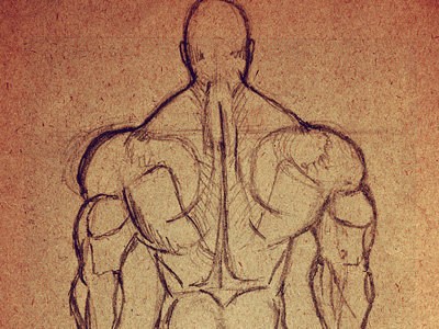 Muscle Study III anatomy body concept drawing human anatomy muscle muscle study painting paper practice sketch texture traditional art