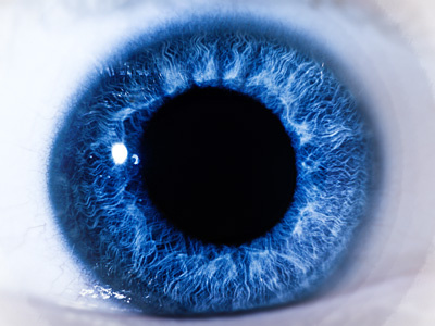 MDH - Macro Eye canon eye iris macro shot studies university zoom