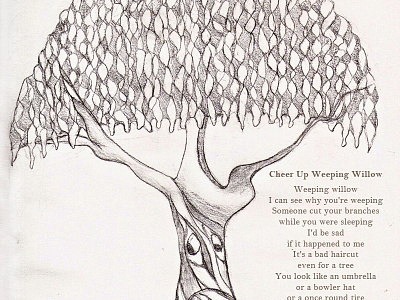 Weeping Willow illustration