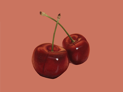 Cherry cherry digital painting fruit illustration