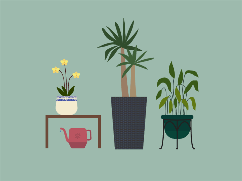 My Mom's Plant Children after effects animation flower gif green motion plants