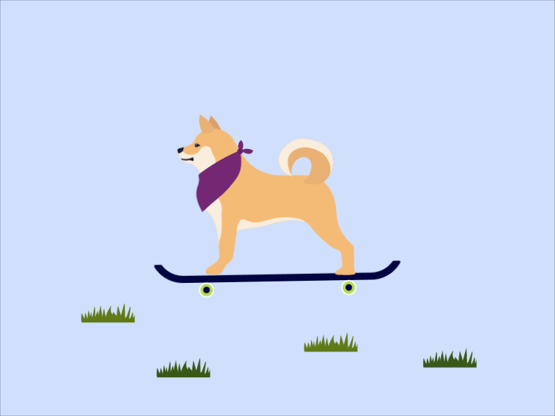 Shiba on Skateboard