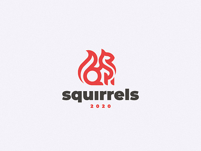 Squirrel concept logo squirrel
