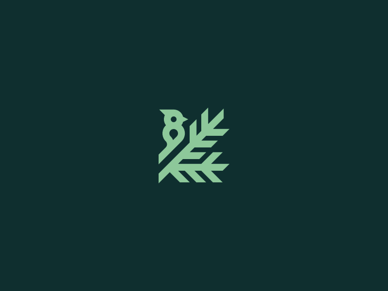 bird by Andrew Korepan on Dribbble