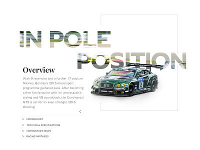 Overview module bold car clean race type ui website white
