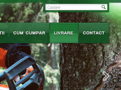 Simple Green Navigation & Hover