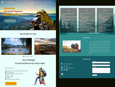Travel Agency design figma homepage travel ui web design