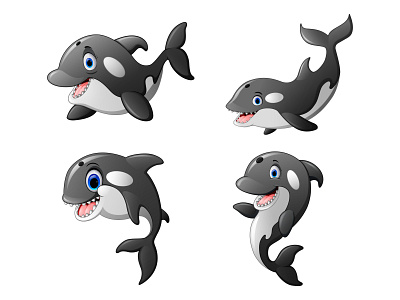 Hello killer whale design graphic design icon illustration vector