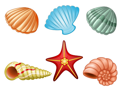 Sea ​​shells design graphic design icon illustration vector
