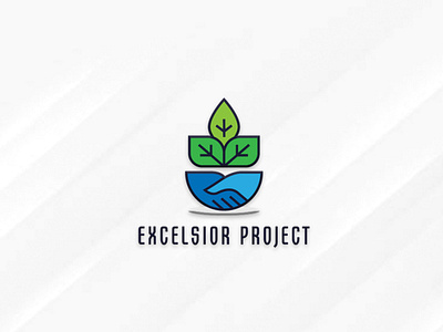 Logo Design | EXCELSIOR PROJECT