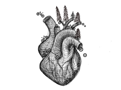 cardiovascular bike system anatomy bikes branding design drawing graphics illustration logo passion