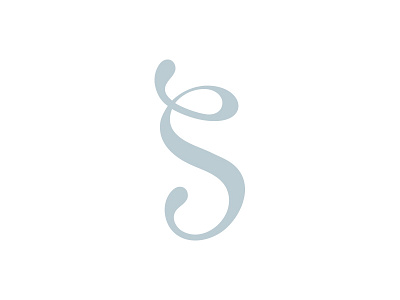 Steep & Co. Letterform branding custom identity letterform tea typography