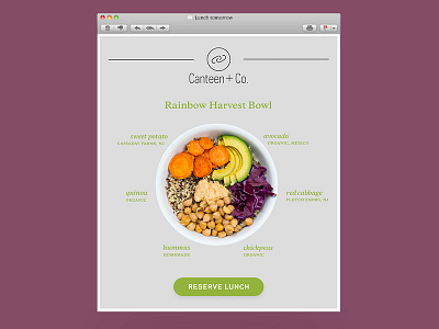 Canteen + Co. — Email Mockup copernicus email food local logo organic polaris sustainability typography