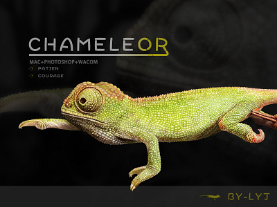 New Shot - 09/20/2016 at 06:49 AM chameleor