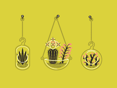 Hanging Succulents cactus illustration plants succulents