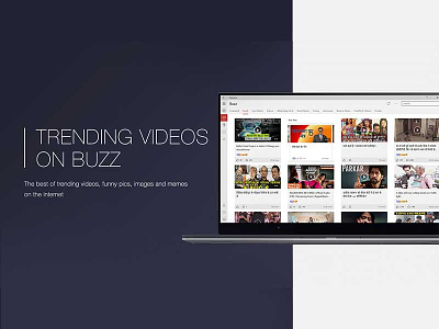 Buzz Video Screens cards colours creative designs desktop minimalistic modules typography web