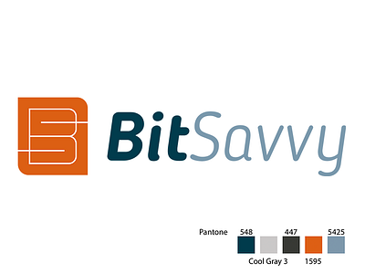 Bitsavvy Logo company logo technology