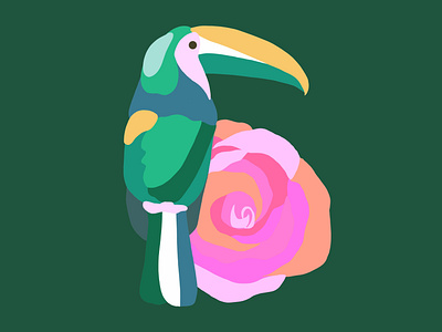 Toucan illustration