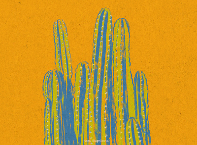 Cacti illustration cacti cactus cactus illustration design digital art graphic design illustrated illustration pattern