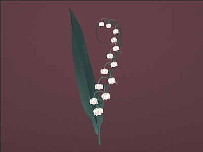 Lily of the Valley 3d 3d4designers c4d flower illustration