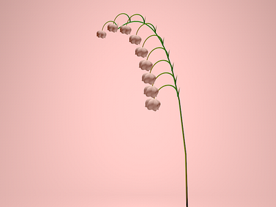Lily of the Valley v0.1 3d 3d4designers c4d flower illustration