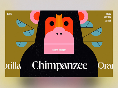 Primate Microsite animal animation app branding clean colourful custom design illustration info interaction landing microsite monkey page typography ui ux web website