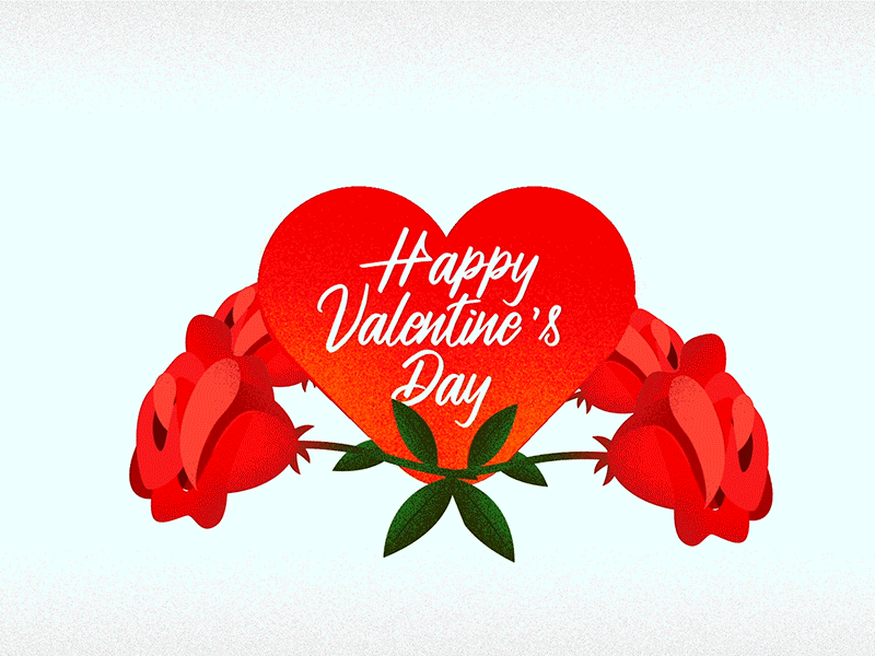 Valentines day animation 2d 2d art aftereffects love rose valentines valentinesday