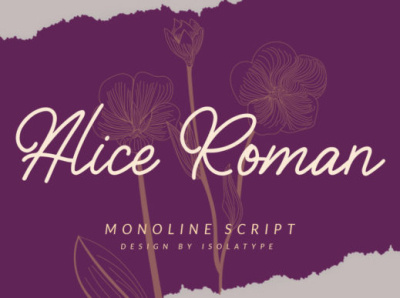 Alice Roman classy design elegant girly handwritten illustration luxury script signature