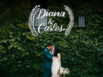 Diana & Carlos calligraphy fluid hand lettering handwritten lettering love organic photography script typography wedding