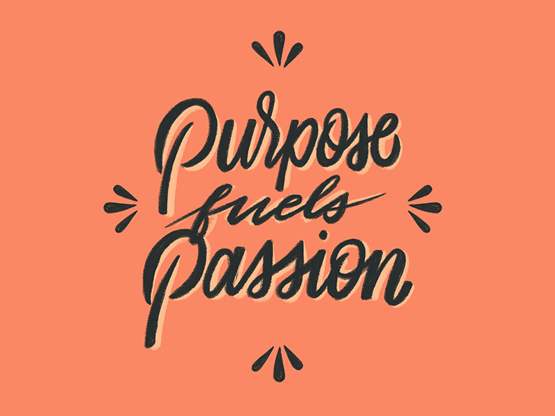 Image result for purpose fuels passion