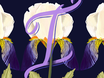 I - Iris alphabet calligraphy create cursive floral hand lettering handwriting illustration iris lettering script typography