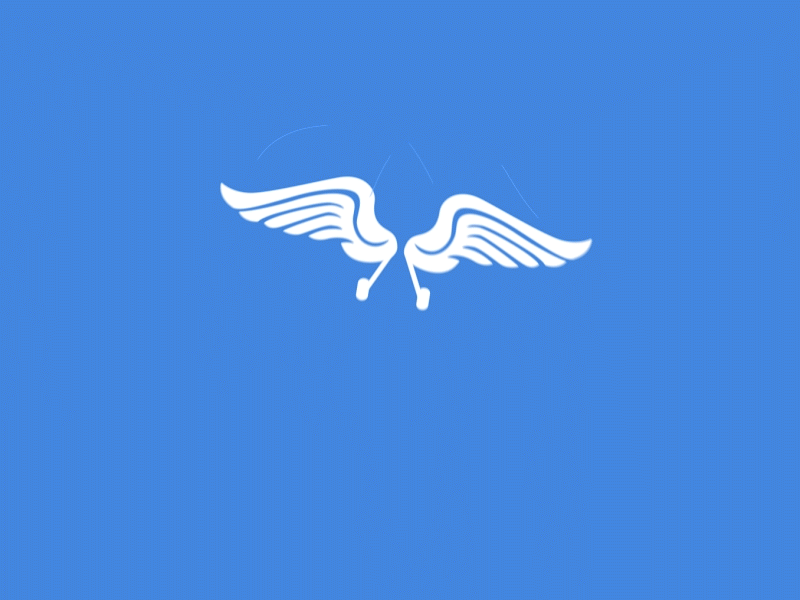 Logo Animation - Mzeroa 2d animated animation aviation bird logo logoanimated school