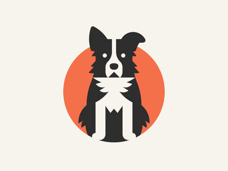 Border Collie by MarkFly on Dribbble