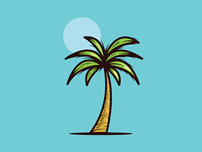 Palm Tree palm palmtree tree vector wallpaper