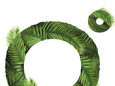 The Tropics Logo logo palm the tree tropics