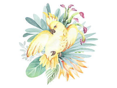 Watercolor illustration Australian parrot