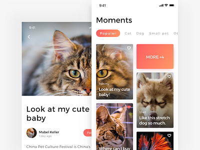 Moments page of Adoption App