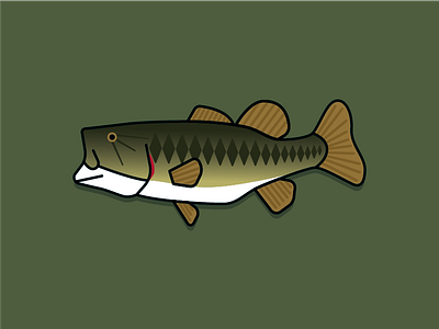 Largemouth Bass fish fishing flat illustration