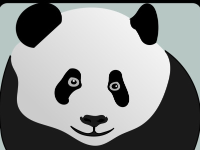Pandabear design graphic design illustration vector