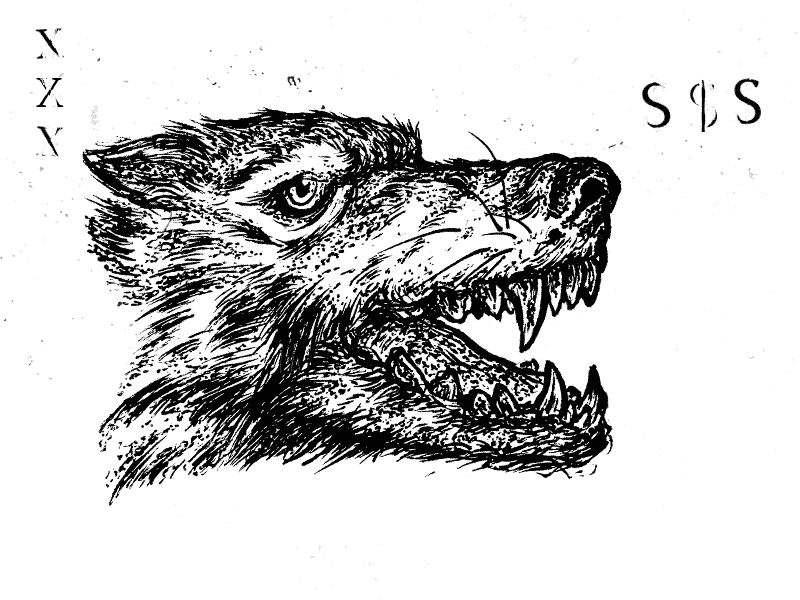 Constant thought process animated crude gif handdrawn wolf