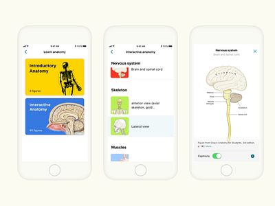 Anatomy App anatomy app blue health medical app mobile yellow