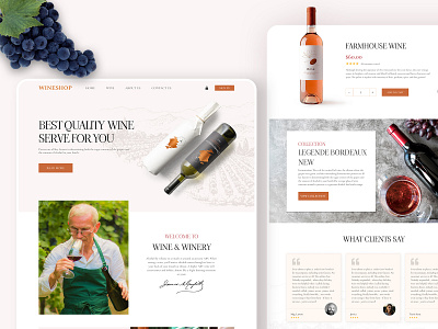 Wine collection - Homepage Design