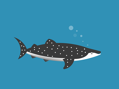 Whaleshark