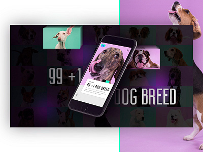 VideoPartner Mobile Presentation breed dogs film mobile photo production video website