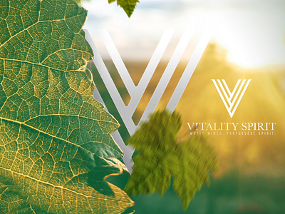 Vitality - Promo brand brand identity branding logo mark symbol wines