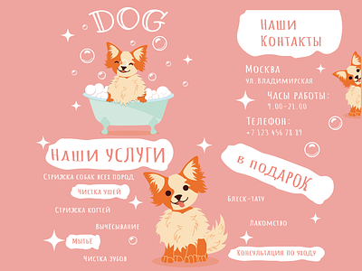 Instagram feed for a hair salon with a cute puppy. bright care design graphic design illustration vector