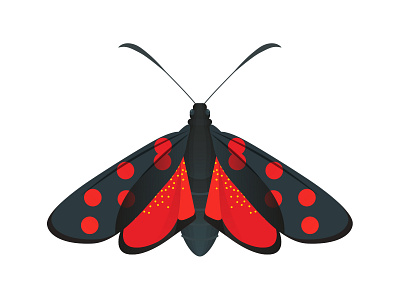 Six Spot Burnet Butterfly 6 spot burnet burnet butterfly colorful design flat illustrator nature nature illustration pattern vector