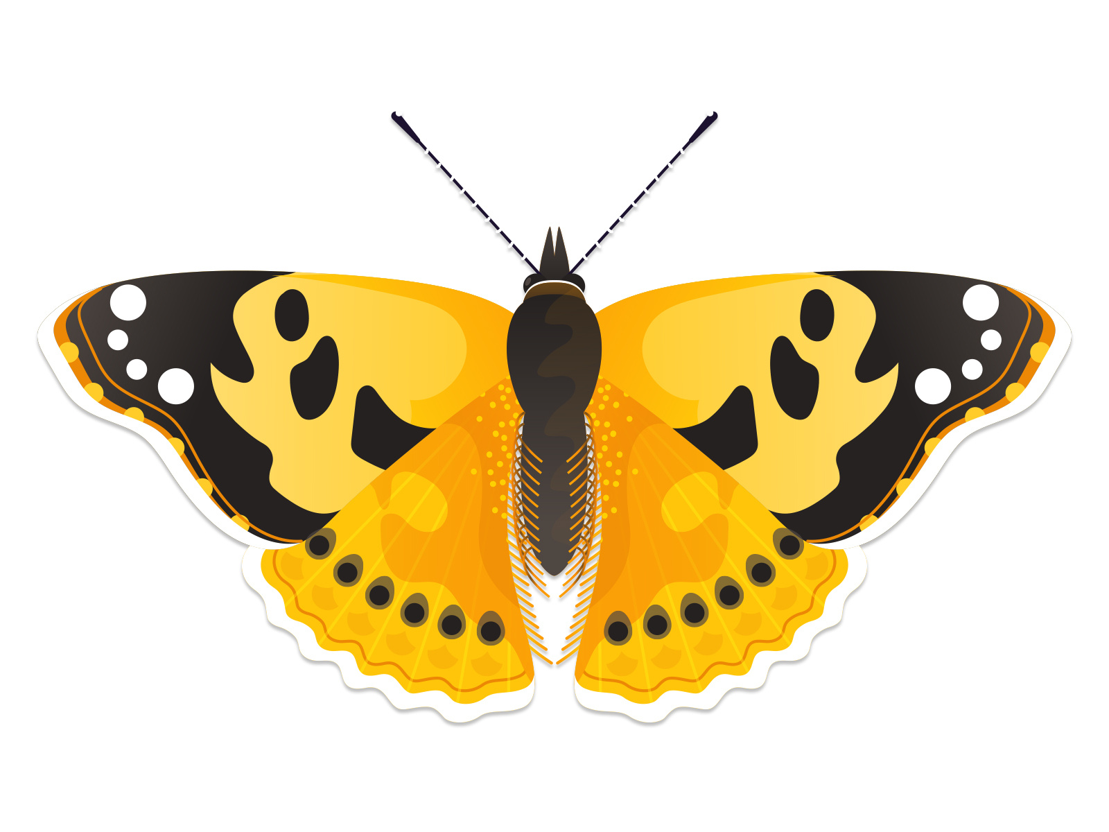 painted-lady-butterfly-by-eva-on-dribbble