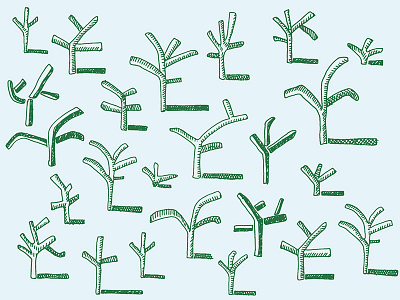 Cactus pattern pattern surface pattern